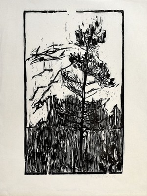 Frielinghaus, Hartmut: Kiefer. [19]75. Signierter Original-Holzschnitt.