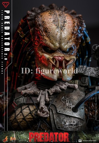 Pre-order Hot Toys MMS816 1/6 Predator 1987 2.0 Collectible Action Figure Model - Picture 15 of 19