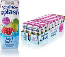 Radnor Hills Splash Water Apple Raspberry 250ml x 24 Tetra Pak Cartons