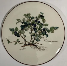 Villeroy & Boch BOTANTICA Round Trivet Tea Tile Vaccinium Myrtillus Blueberries