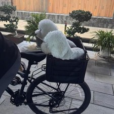 Rear Bike Basket Lightweight Sturdy Dog Carrier for Shopping Camping E Bikes