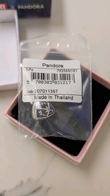 Pandora Authentisch Marvel Guardians of the Galaxy Rakete Waschbär & Groot Charm