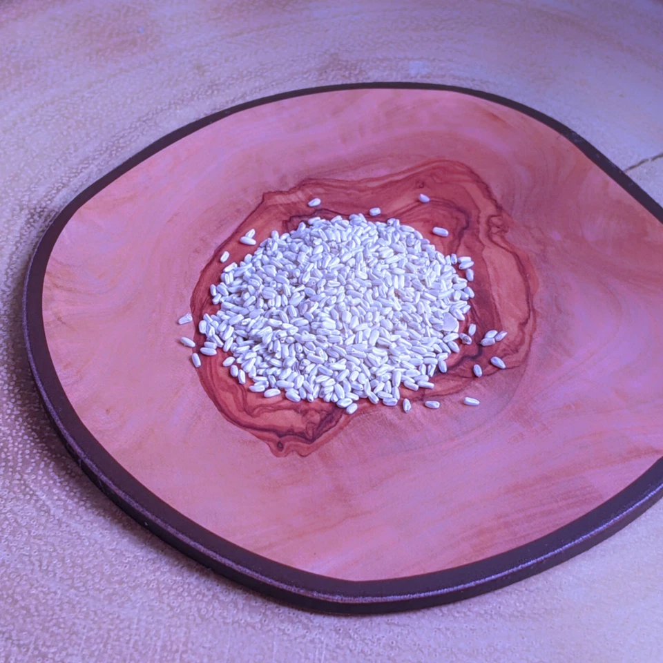 Philodendron selloum (Lacy Leaf Palm Tree) 15-100 Seeds RARE Tropical Houseplant - Image 4 of 4