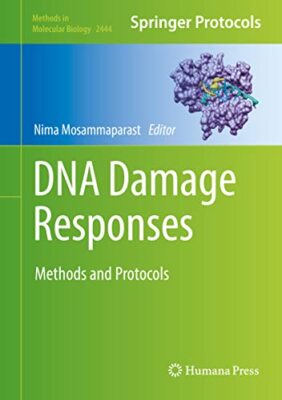 Mosammaparast - DNA Damage Responses   Methods and Protocols - New har - X555z