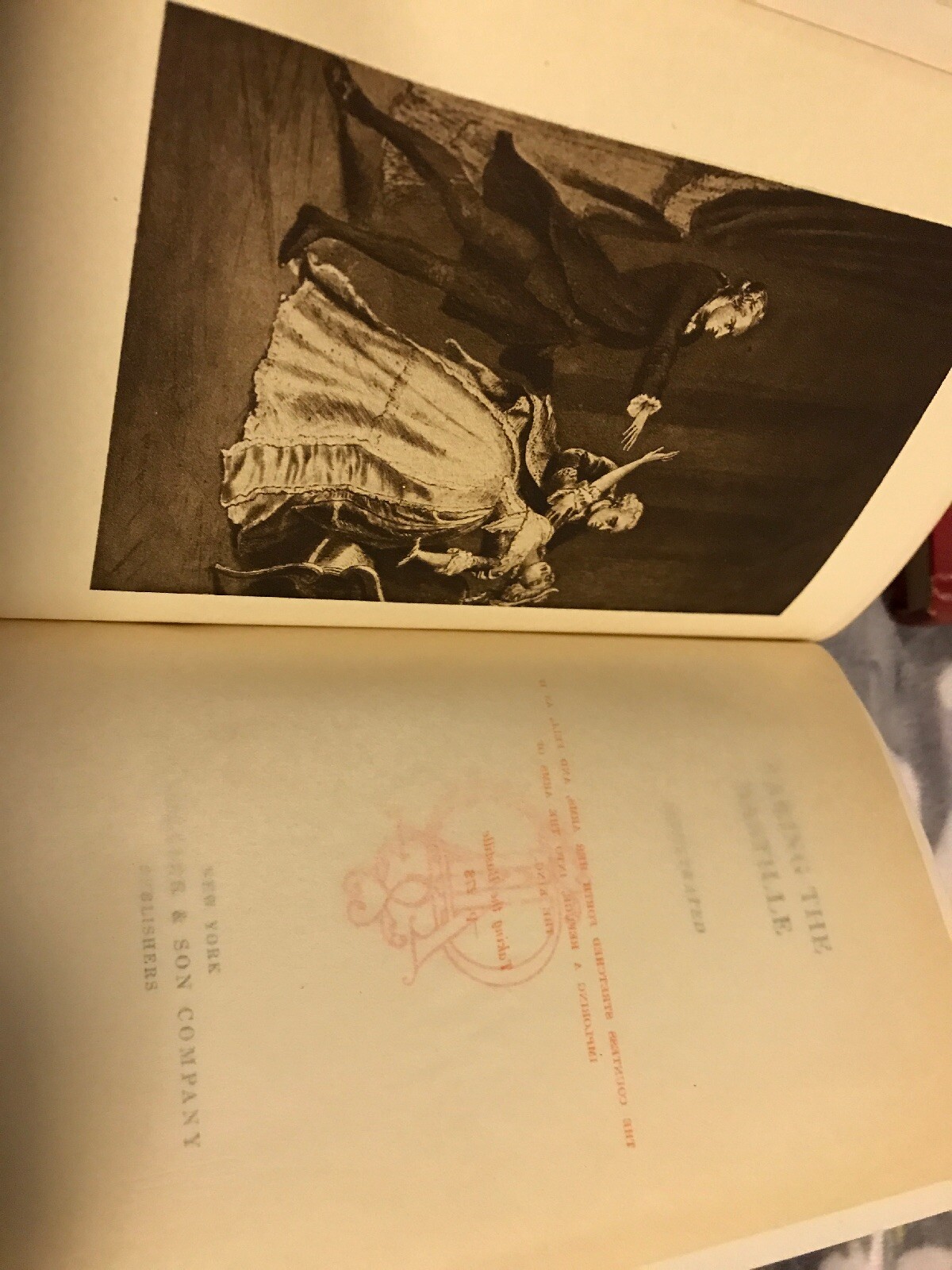 Romances of Alexandre Dumas Collection lot of 5 Bastille Iron Mask VGC Illustrat
