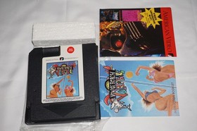 Venice Beach Volleyball (Nintendo NES) Complete in Box CIB