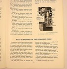 Foto 10 di 10