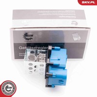 Widerstand InnenraumgebläSe Esen SKV 94SKV010 12V FüR Peugeot Partner Tepee Hdi