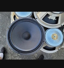 Egnater Elite 1065 same as Celestion G10 Vintage Guitar Speaker 8ohm 65 watt