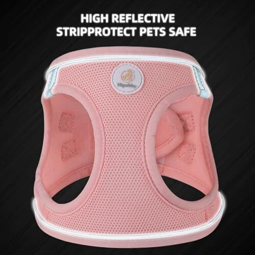 Dog Harness with Leash Set, Step S(10.5-12"NeckGirth ,13.5-16"ChestGirth) Pink