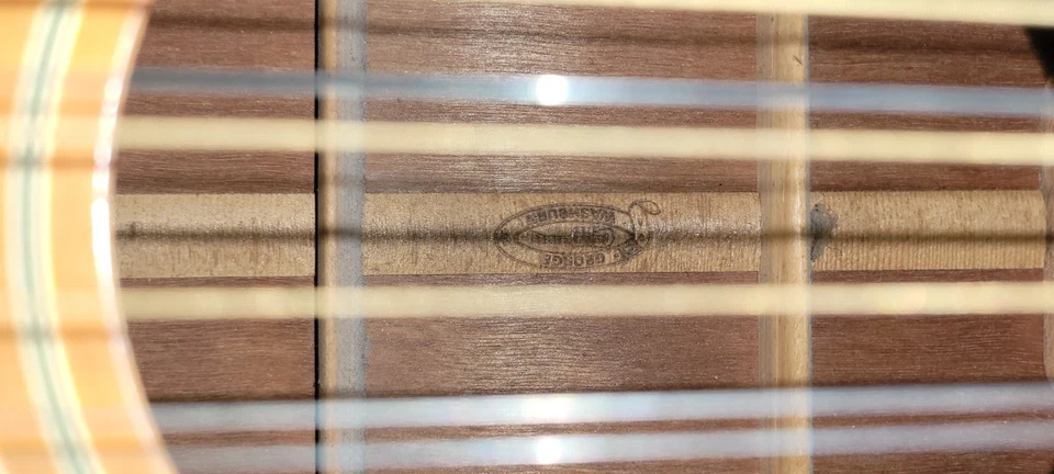 Chitarra 12 corde Washburn - Immagine 3 di 4