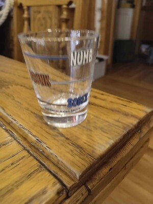 Lot of 4 shot Glasses Bottoms UP, Avoid Hangovers, Sick Puppies Numb Drunk Sober