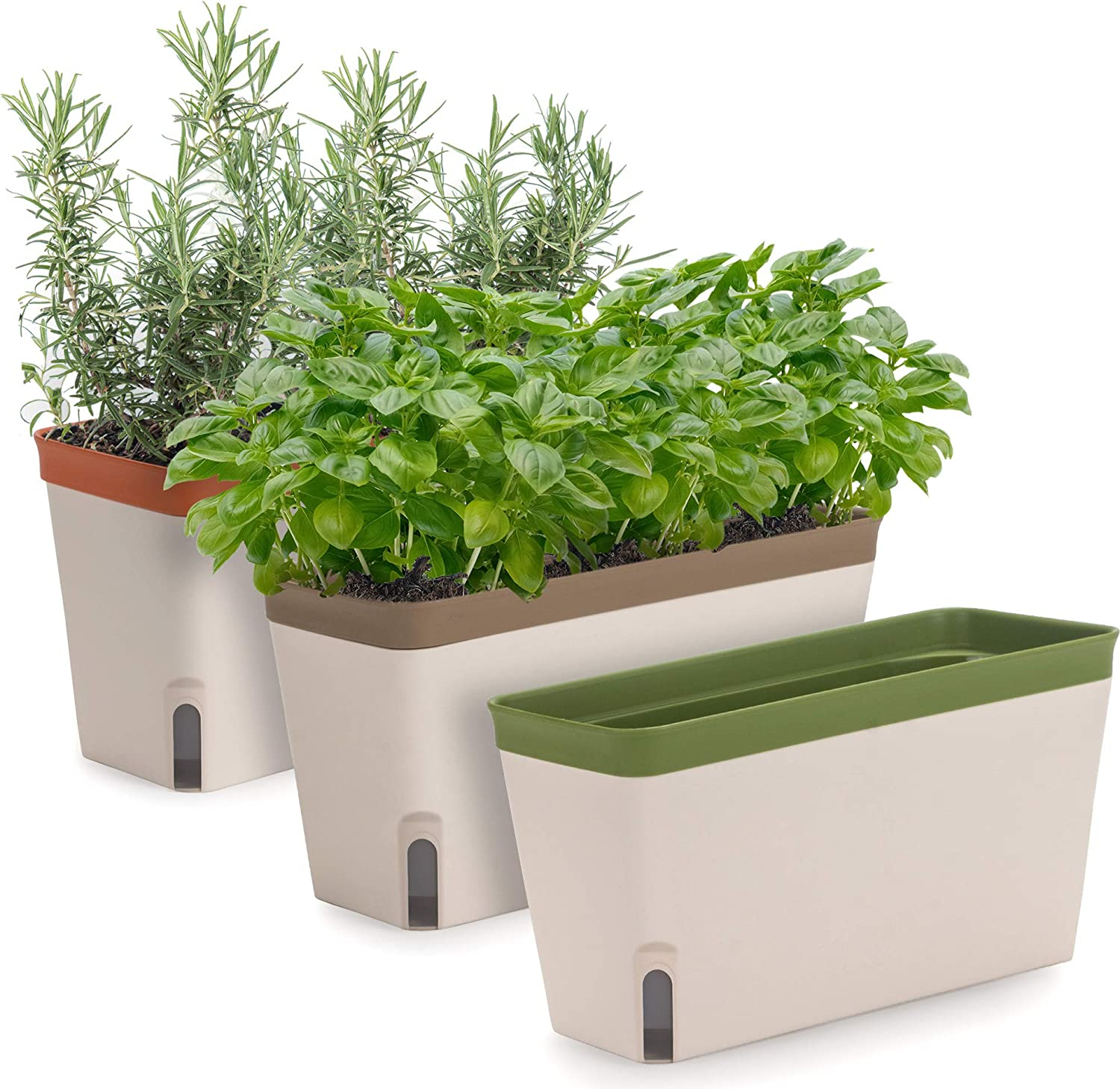 Colorful Self-Watering Window Planter Box for Fresh Herbs