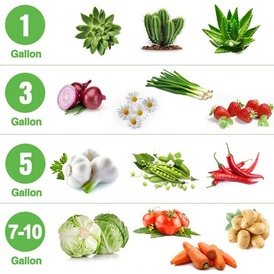 Paquete de 5 bolsas de cultivo de plantas bolsa de suelo de vivero para maceta de tela con asas engrosadas no tejidas Foto 3 de 4