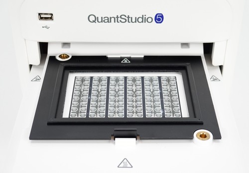 Applied Biosystems QuantStudio 5 Real-Time PCR System 96 pozzetti blocco 0,2 ml *NOS* - Foto 13 di 17