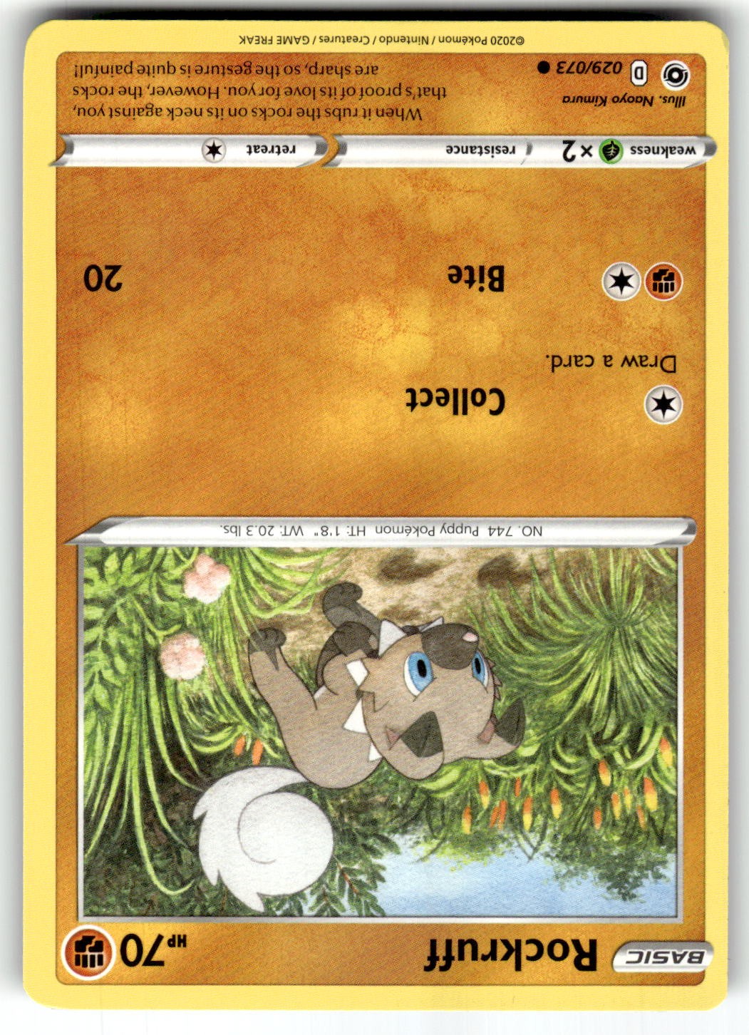 Rockruff 29/73 Champion's Path Common Normal Pokemon TCG NM