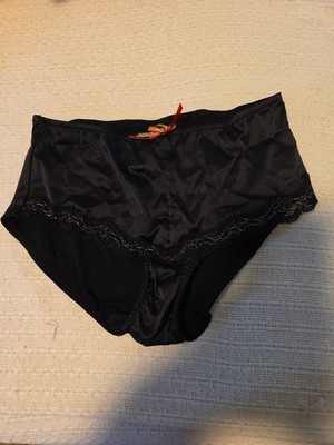 NWOT VENUS Satin Brief Panty