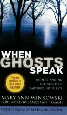 When Ghosts Speak: Understanding the World of Earth... | Buch | Zustand sehr gut