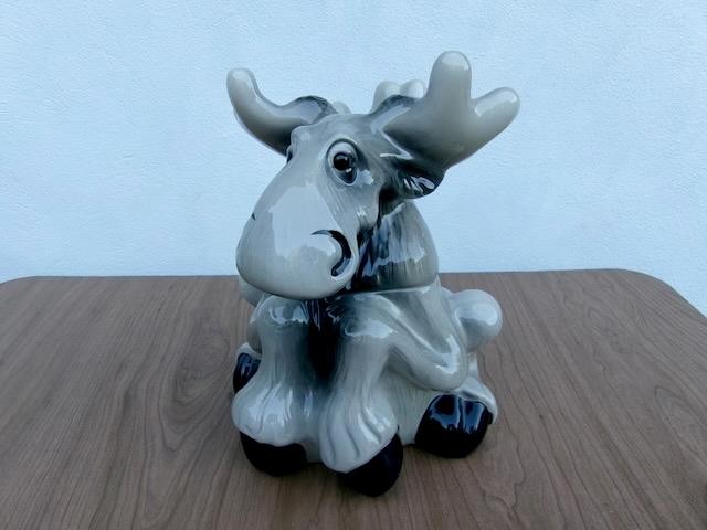 Foto 8 di 8