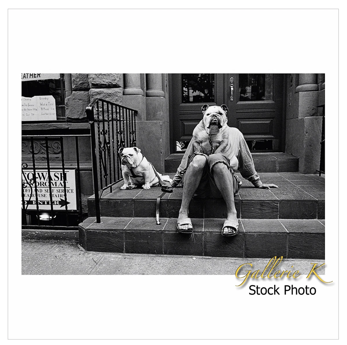Elliott Erwitt In Art Photographs for sale | eBay