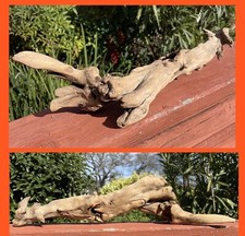 DRIFTWOOD Natural Freshwater TERRARIUM Aquarium DECOR Crafts 17" Root Wood ARCH