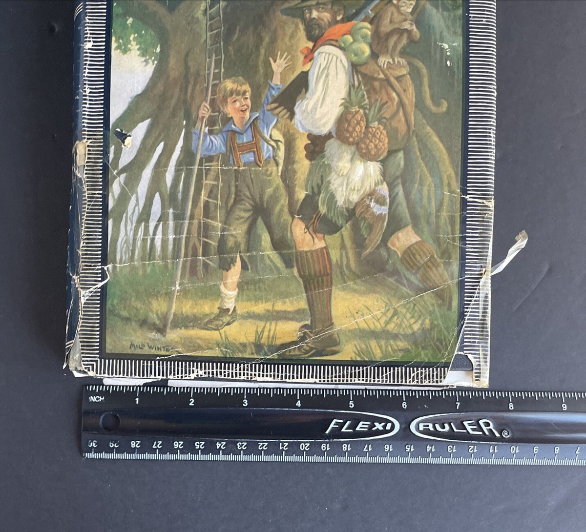 洋書　THE BOOK The Twyford Code: Janice Hallett: 9781788165310: Amazon.com: Books