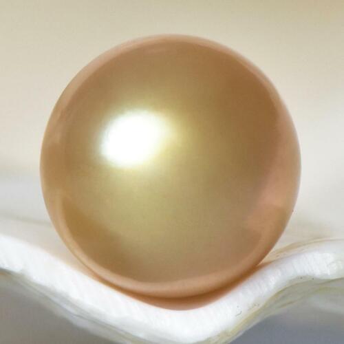 1.64 g South Sea Pearl 10.54 mm Golden Round Half-drilled Maluku Indonesia - Picture 1 of 7
