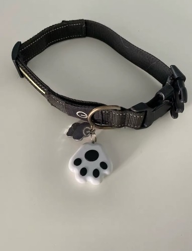 Mini Pet Cat Dog GPS Locator Tracker Water Proof Anti Lost Tracking Device Tool· - 第 1/8 張圖片