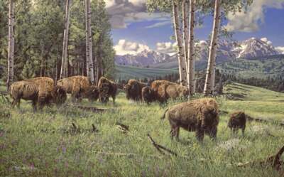 Rod Frederick - Home Range - Buffalo - S/N Canvas Giclee - Signed - MINT - 21x34