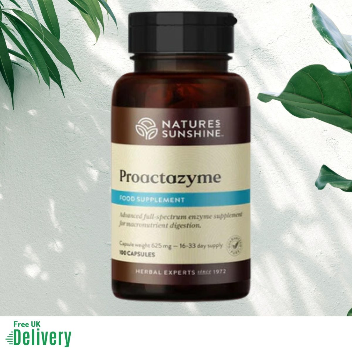 Proactazyme Digestive Enzymes Nature's Sunshine Freepost UK eBay