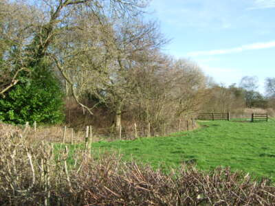 Photo 6x4 Path and copse Osleston Along the path to Sharrow Hall. c2007