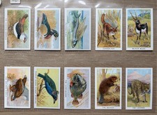 A Complete Set of British American Tobacco BAT Cards Birds Beasts & Fishes