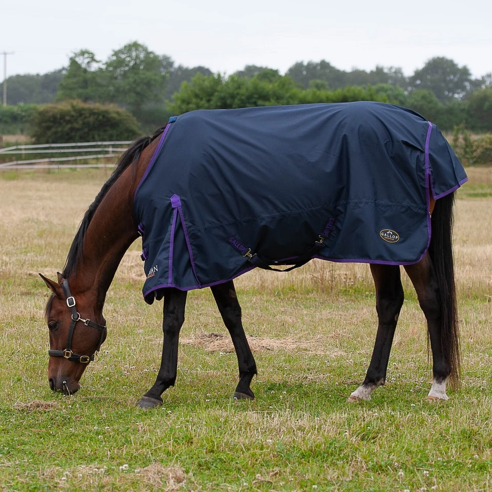 LITE WEIGHT TURNOUT RUG NO FILL Gallop Trojan Lightweight Horse Rug 0g No Neck - Image 3 of 4