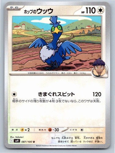 2025 JAPANESE HOP'S CRAMORANT MEGA DREAM EX 143/193 NM A32606 FREE S&H