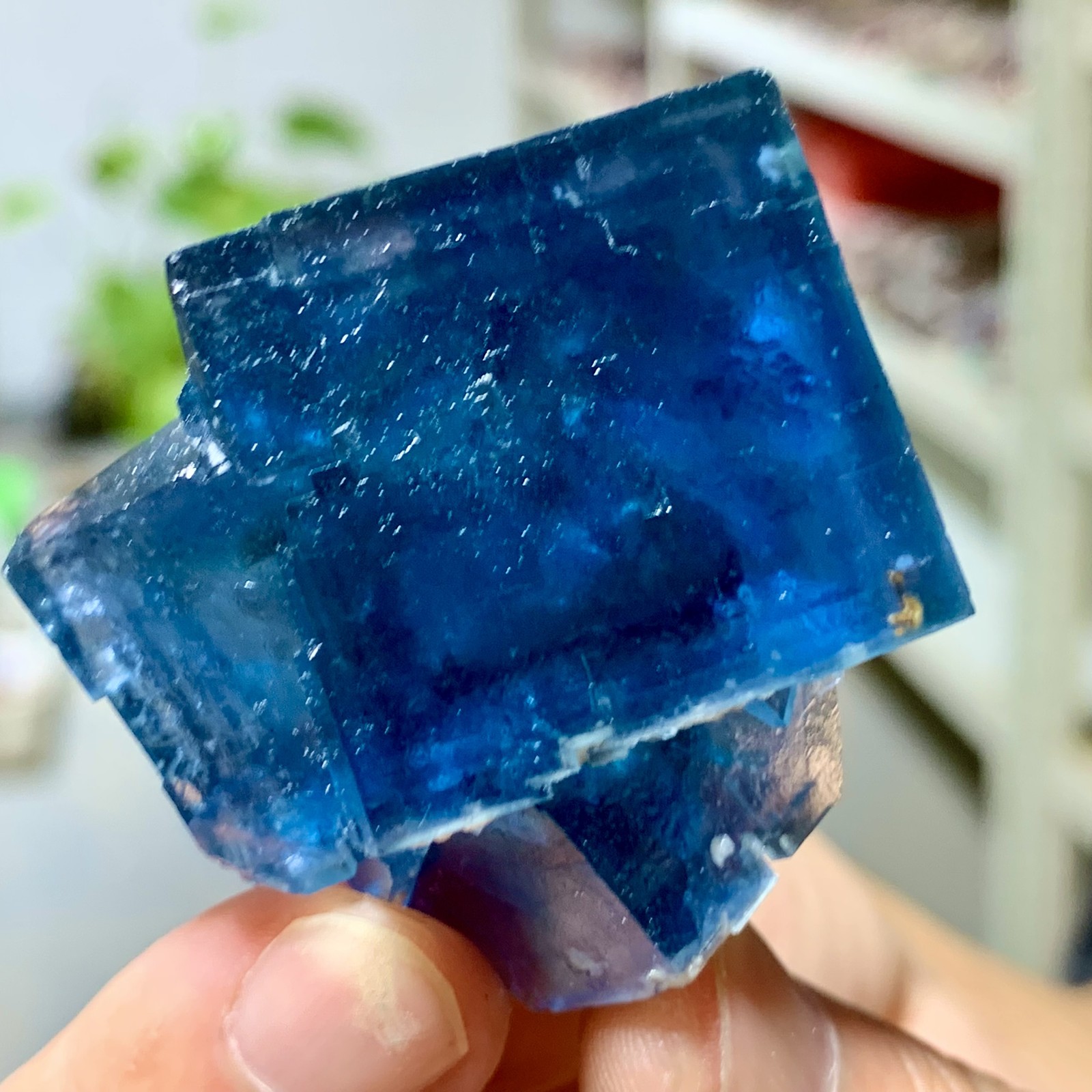 49G Transparent Blue-Green Cubic Fluorite Crystal Specimen from China
