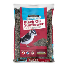 Premium 20 Lb. Black Oil Sunflower Bird Seed Food