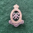 The Territorial Army Nursing Service TANS WW2 Officer's Collar & Beret badge
