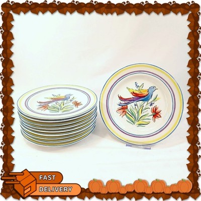 American Atelier Paradise Dinner Plates Set of 10 Colorful Bird Design 8''