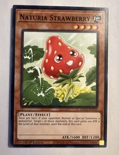 Naturia Strawberry - HAC1-EN110 Yugioh Hidden Arsenal - 1st Edition - Near Mint