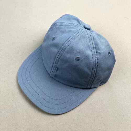 Patagonia Stand Up Cap Hat Strapback Blue Canvas Save Our Planet Hiking Nature - Picture 1 of 9