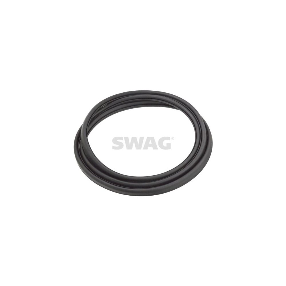Dichtung, Frontscheibe SWAG 30902784 für VW 4044688027849 | eBay 