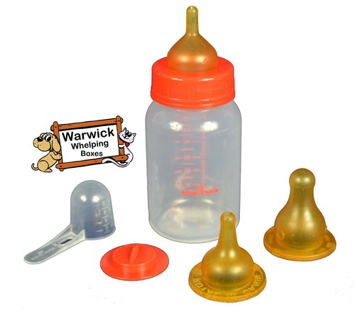 ROYAL CANIN 400g BABY DOG PUPPY MILK KIT WHELPING WITH BOTTLE & TEATS Tracked 48 - Picture 5 of 6