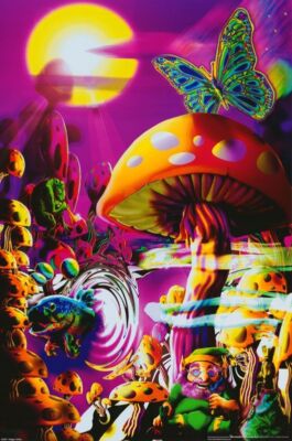 MAGIC VALLEY Fantasy Kunst Poster 23x35 4360