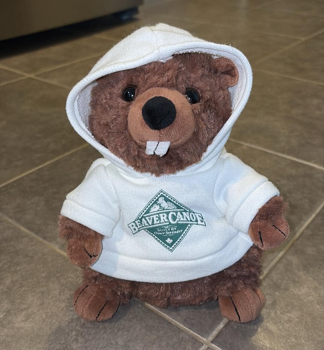 Roots Canada Beaver Wearing white Beaver Canoe Hoodie 9