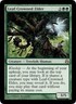 Light Play x 1 Leaf-Crowned Elder Morningtide