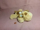 9" Russ BROWN TAN PUPPY DOG RATTLE "SWOOZY" BLUE NOSE plush stuffed animal