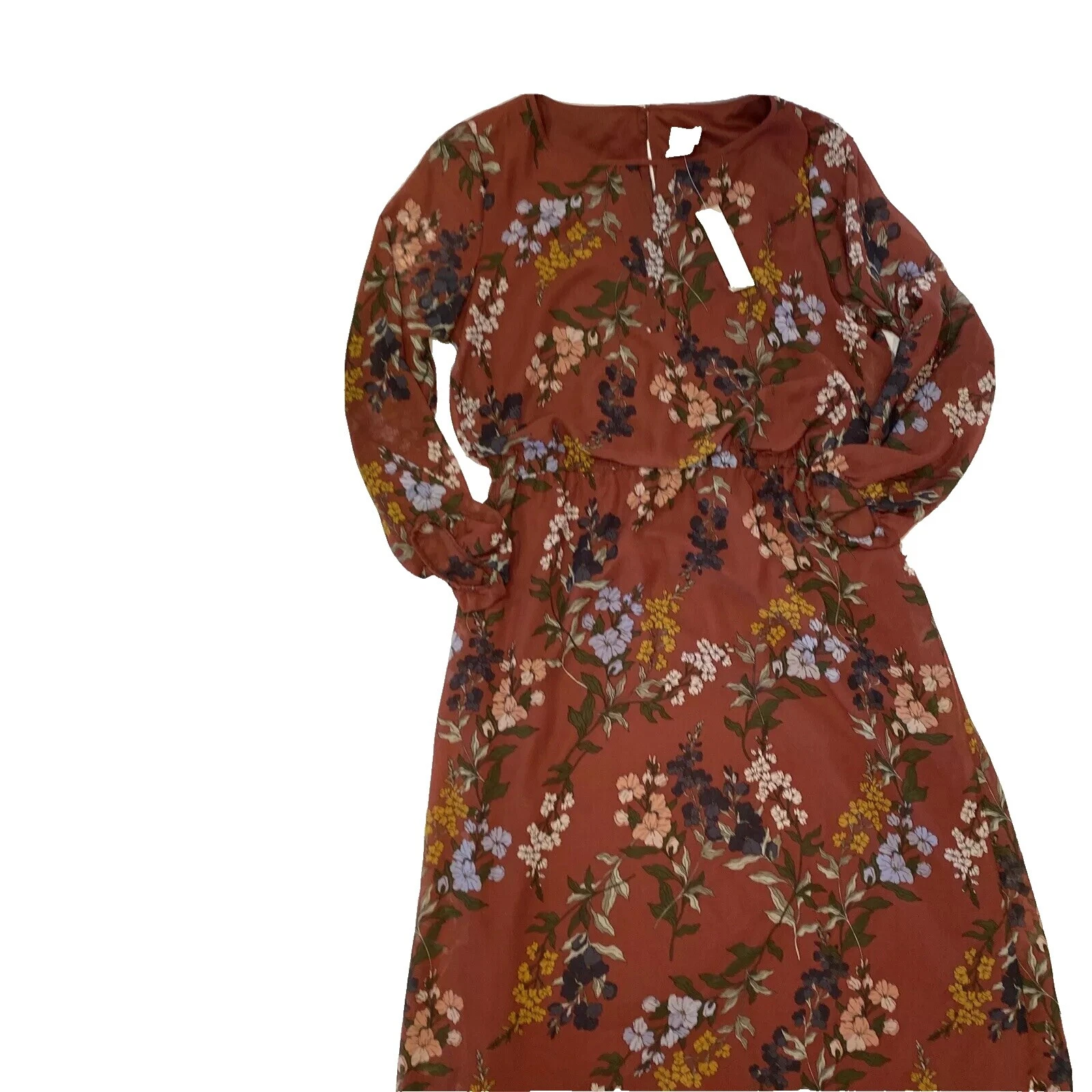 Chico's Mujer Marrón