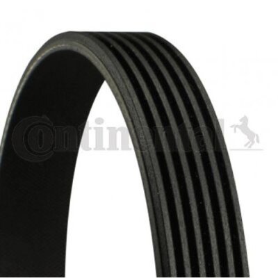 V-ribbed belt Continental CTAM 6PK1352 for Ford Galaxy VW