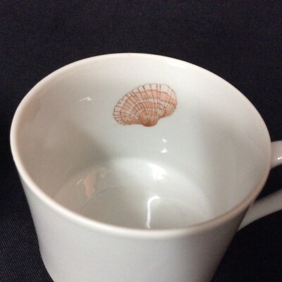 Fitz & Floyd FF Fine Porcelain Sea Shell CoffeeCup Set of Two (2