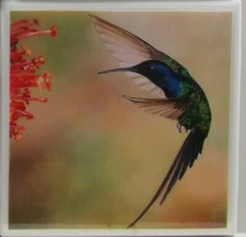 Ceramic Tile Coaster - Hummingbirds - Set of 1 - (Buy 3 Get 1 Free)   4B